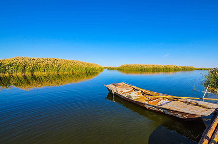 环境工程专项设计服务